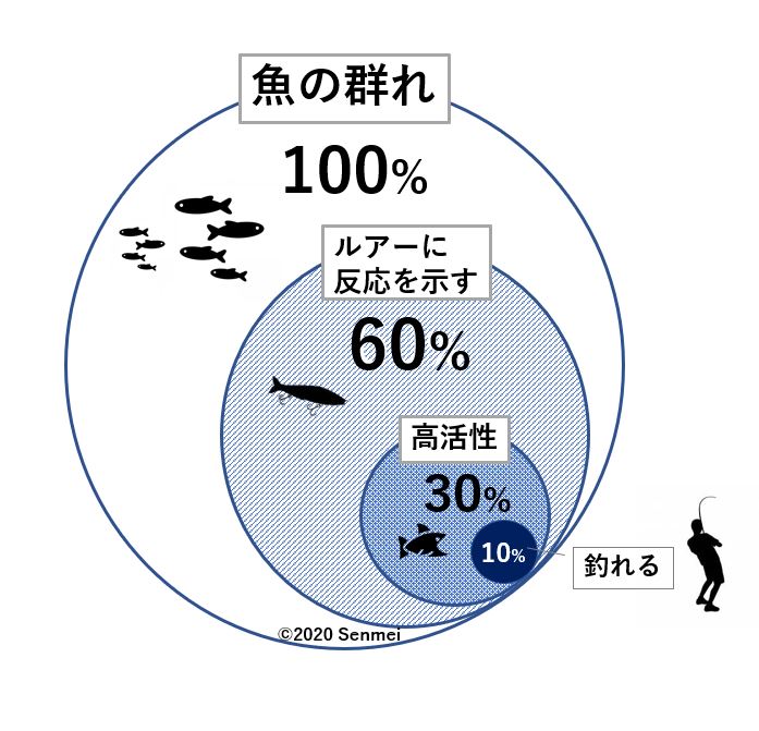 初心者必見 シーバス釣り超基本的マインド 初めて1匹を釣れるまでに必要なこと